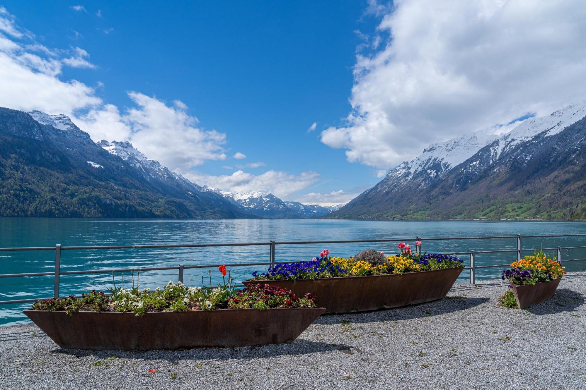 Grosses Am Schoenen Brienzersee